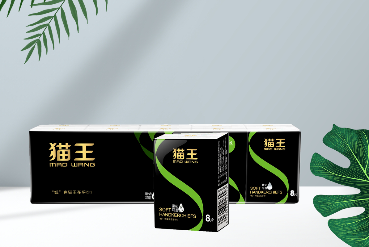 簡約10包手帕紙（三層）（MSP11）